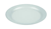 10-Inch-Foam-Paper-Plates